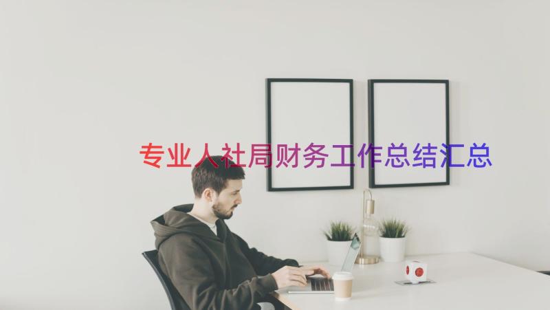 专业人社局财务工作总结（汇总19篇）