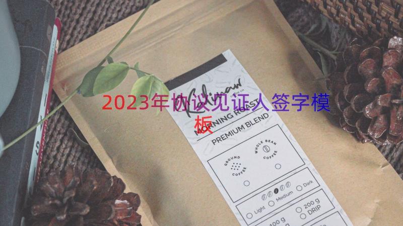 2023年协议见证人签字（模板14篇）