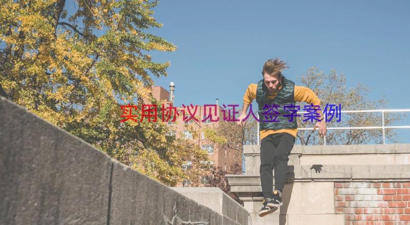 实用协议见证人签字（案例16篇）