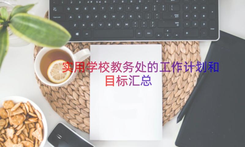 实用学校教务处的工作计划和目标（汇总18篇）