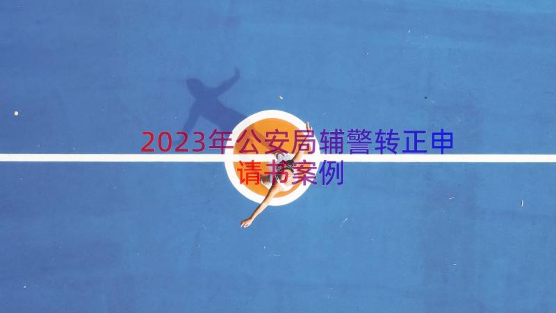 2023年公安局辅警转正申请书（案例17篇）