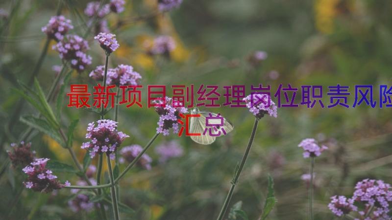 最新项目副经理岗位职责风险（汇总13篇）