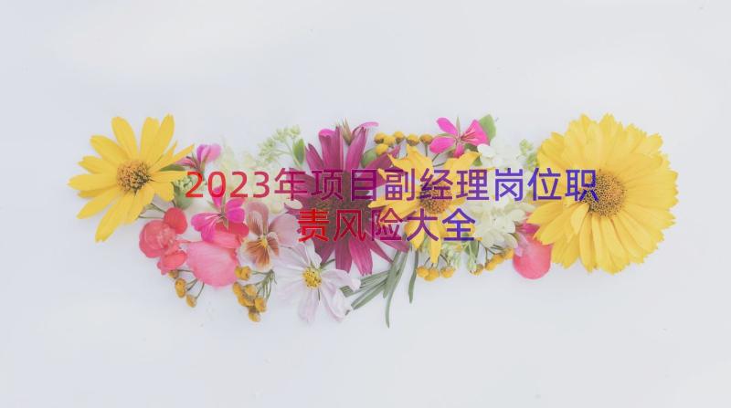 2023年项目副经理岗位职责风险大全（13篇）