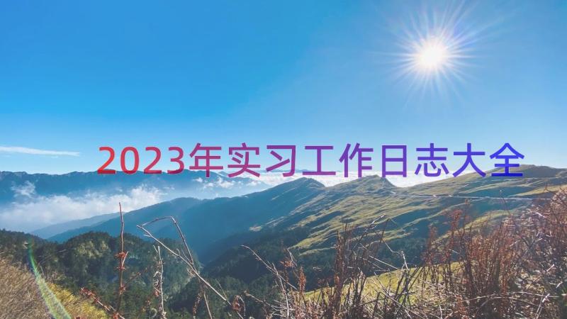 2023年实习工作日志大全（17篇）