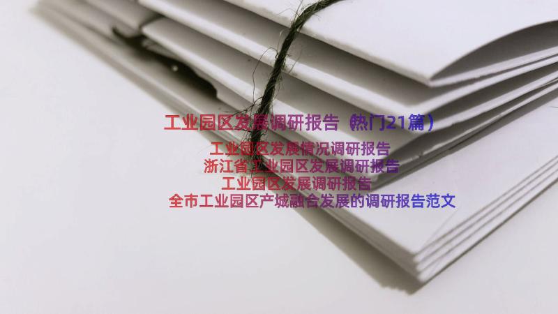 工业园区发展调研报告（热门21篇）