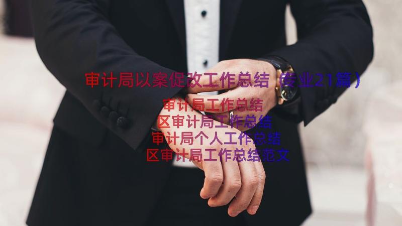 审计局以案促改工作总结（专业21篇）