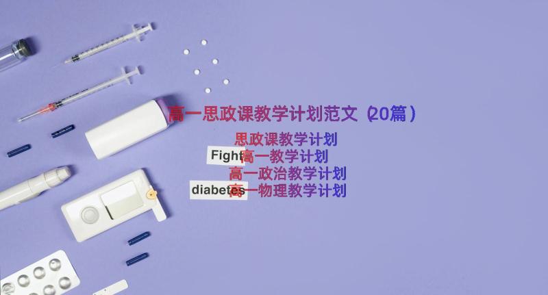 高一思政课教学计划范文（20篇）