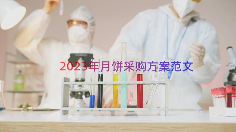 2023年月饼采购方案范文（16篇）