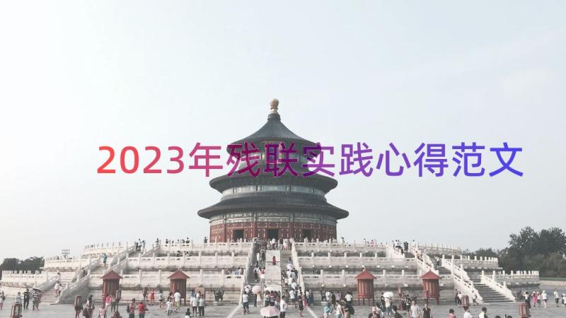 2023年残联实践心得范文（15篇）