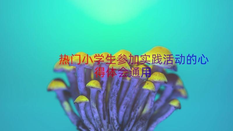 热门小学生参加实践活动的心得体会（通用16篇）