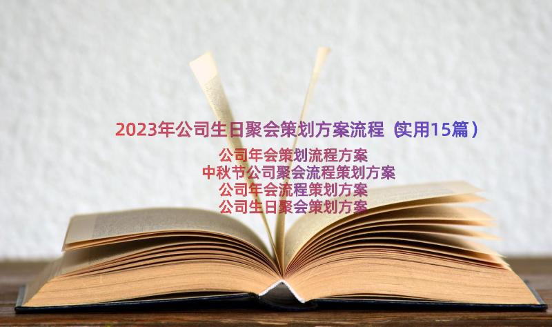 2023年公司生日聚会策划方案流程（实用15篇）