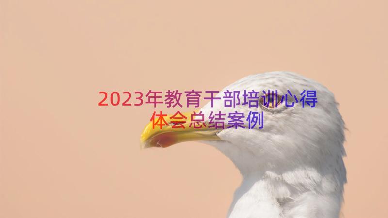 2023年教育干部培训心得体会总结（案例15篇）