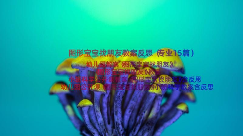 图形宝宝找朋友教案反思（专业15篇）