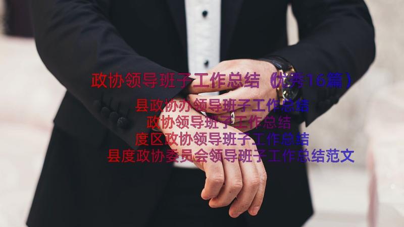 政协领导班子工作总结（优秀16篇）