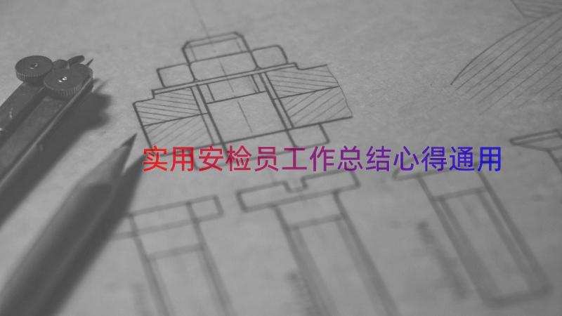 实用安检员工作总结心得（通用16篇）