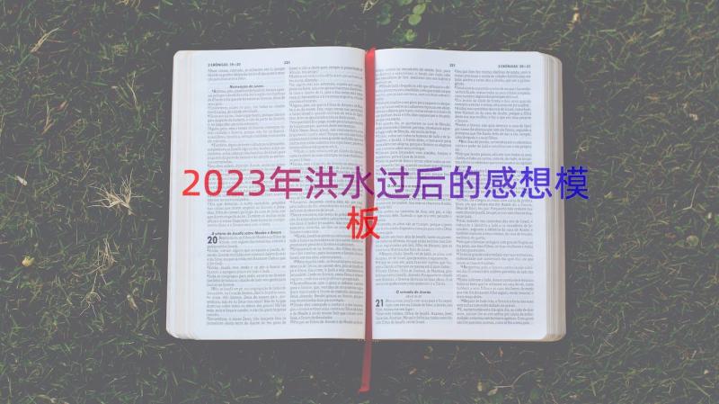 2023年洪水过后的感想（模板15篇）