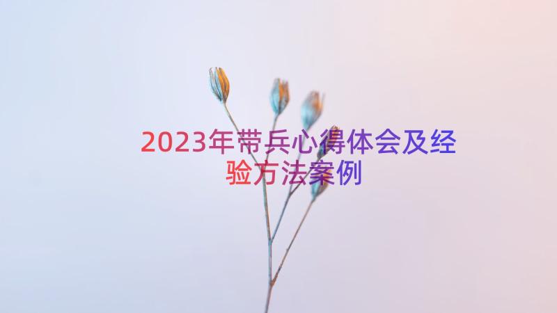 2023年带兵心得体会及经验方法（案例15篇）