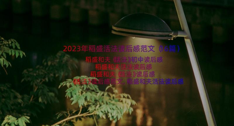 2023年稻盛活法读后感范文（16篇）