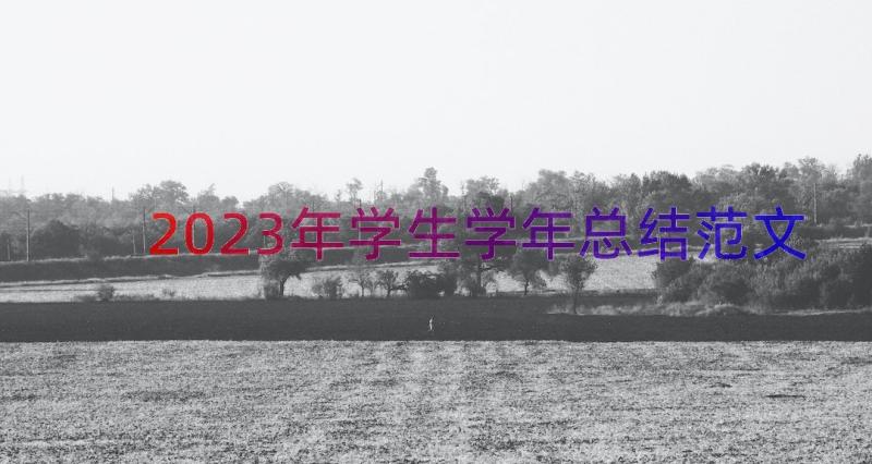 2023年学生学年总结范文（17篇）