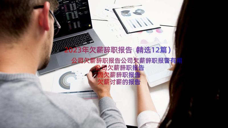 2023年欠薪辞职报告（精选12篇）