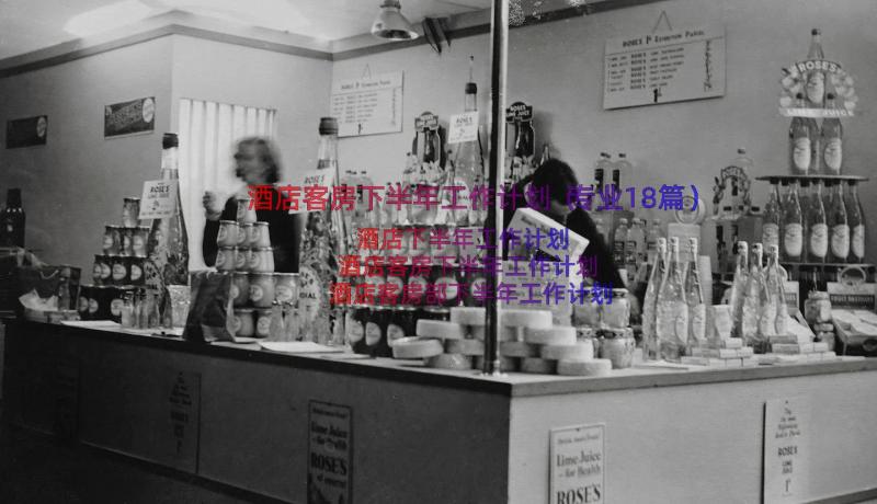 酒店客房下半年工作计划（专业18篇）