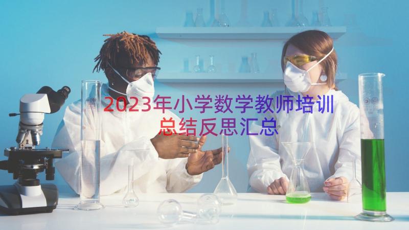 2023年小学数学教师培训总结反思（汇总15篇）