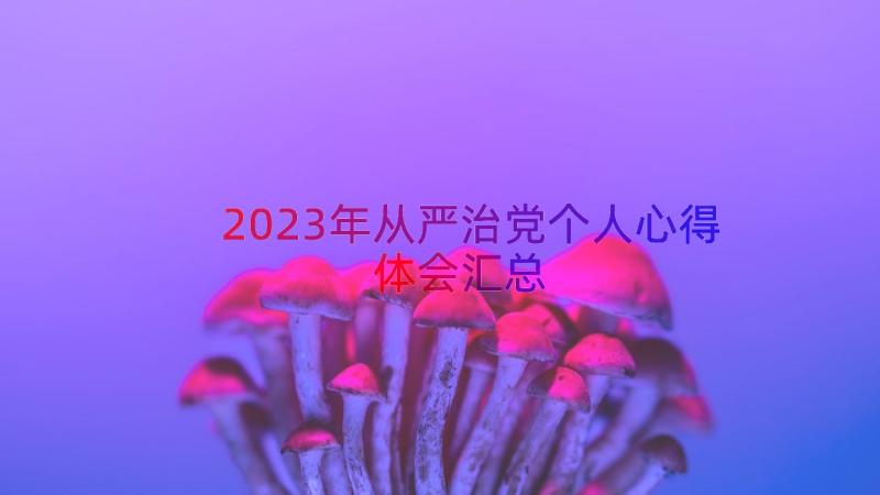 2023年从严治党个人心得体会（汇总15篇）