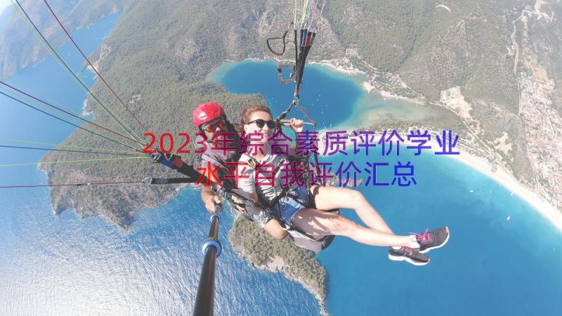 2023年综合素质评价学业水平自我评价（汇总19篇）