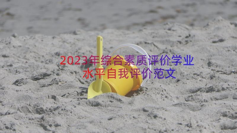 2023年综合素质评价学业水平自我评价范文（17篇）