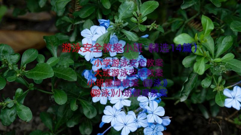 游泳安全教案小班（精选14篇）