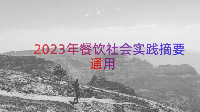 2023年餐饮社会实践摘要（通用14篇）