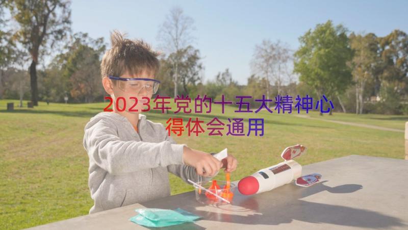 2023年党的十五大精神心得体会（通用15篇）