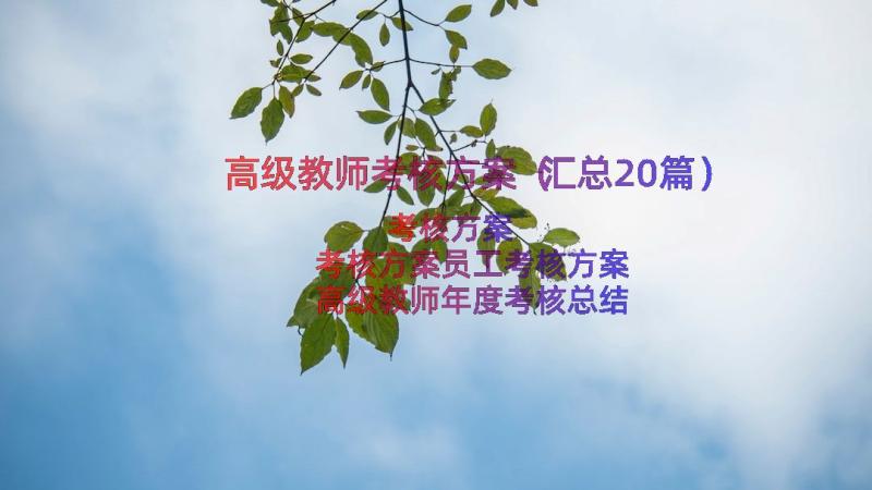 高级教师考核方案（汇总20篇）