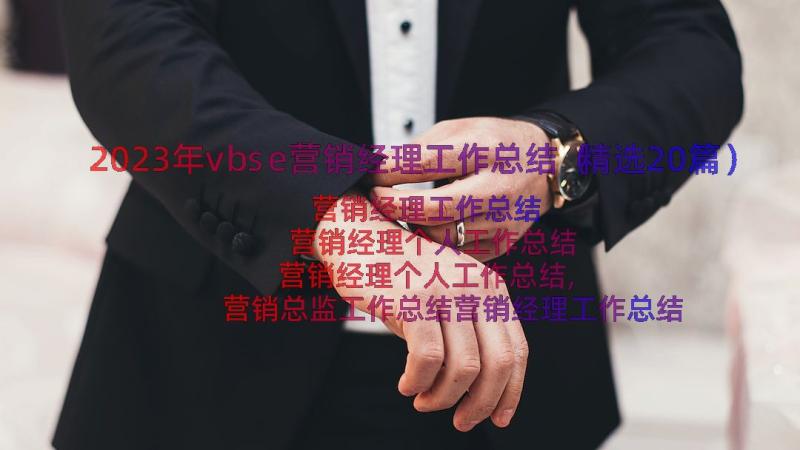 2023年vbse营销经理工作总结（精选20篇）