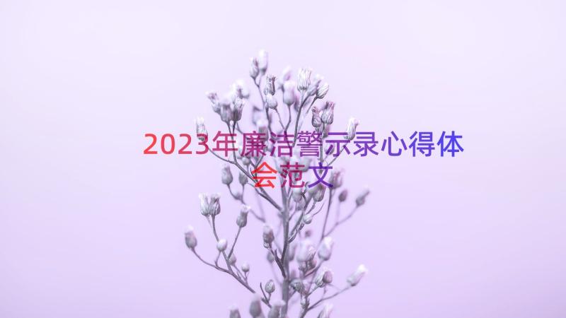 2023年廉洁警示录心得体会范文（14篇）