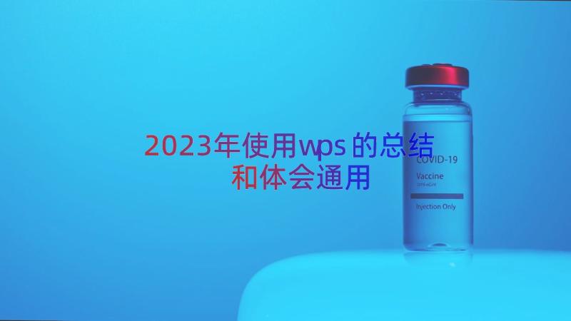 2023年使用wps的总结和体会（通用18篇）