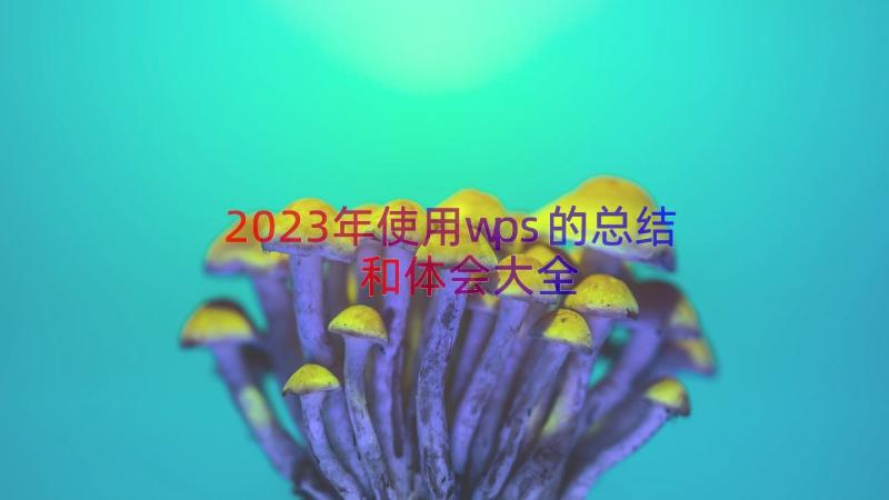 2023年使用wps的总结和体会大全（13篇）