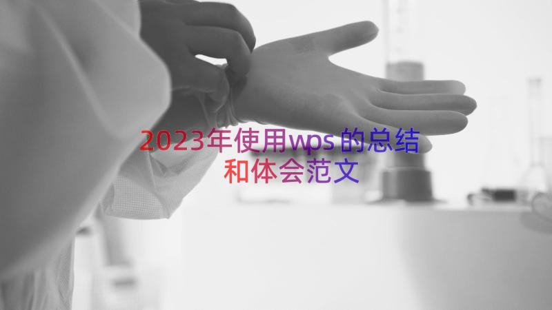 2023年使用wps的总结和体会范文（17篇）