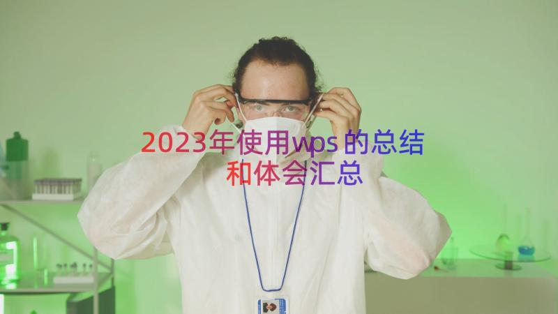 2023年使用wps的总结和体会（汇总15篇）