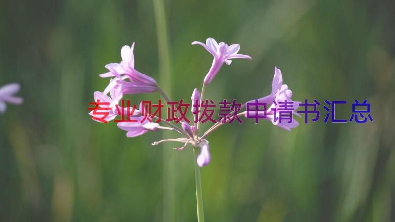 专业财政拨款申请书（汇总15篇）