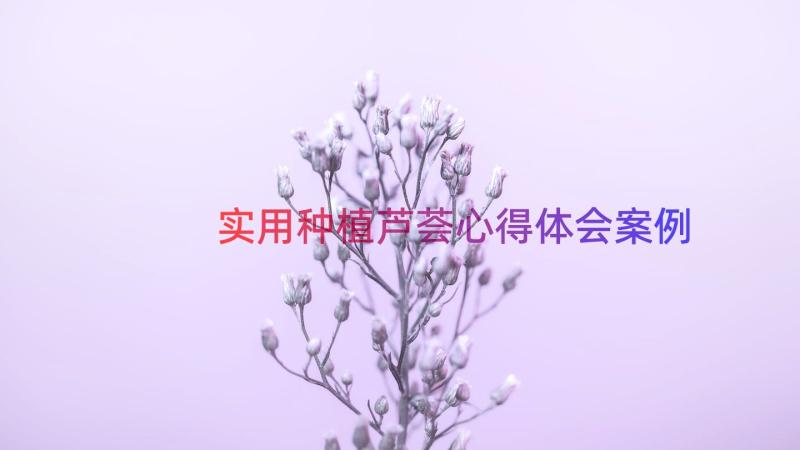 实用种植芦荟心得体会（案例17篇）