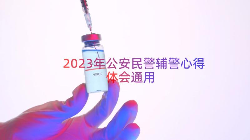 2023年公安民警辅警心得体会（通用12篇）