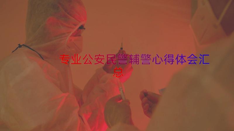 专业公安民警辅警心得体会（汇总16篇）