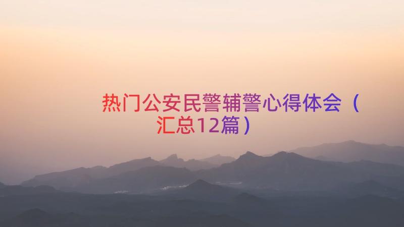 热门公安民警辅警心得体会（汇总12篇）