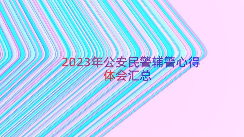 2023年公安民警辅警心得体会（汇总14篇）