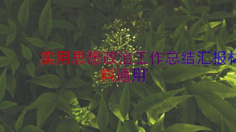 实用思想政治工作总结汇报材料（通用16篇）