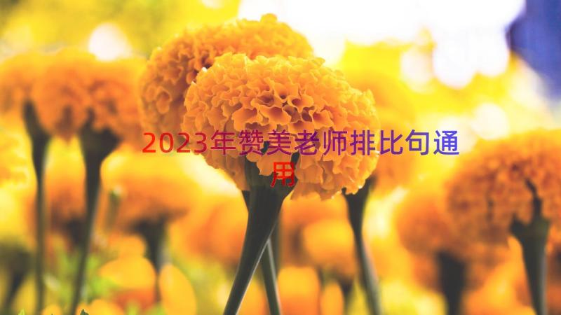 2023年赞美老师排比句（通用18篇）