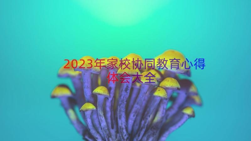 2023年家校协同教育心得体会大全（16篇）