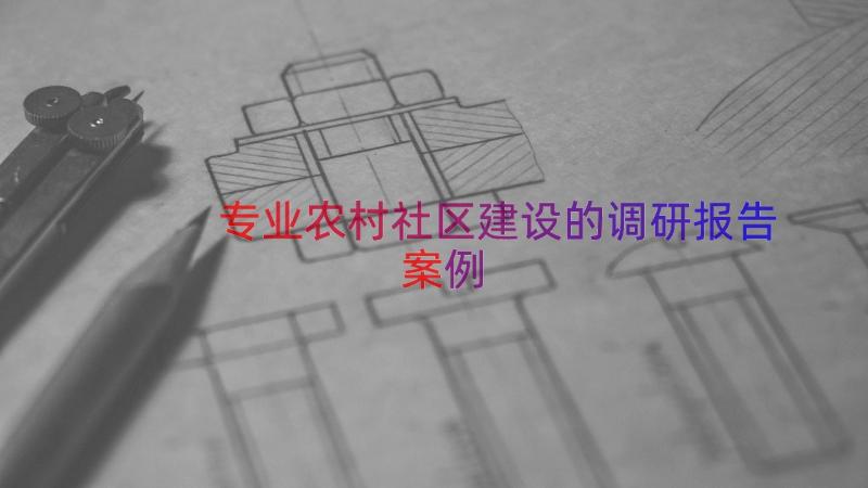 专业农村社区建设的调研报告（案例21篇）