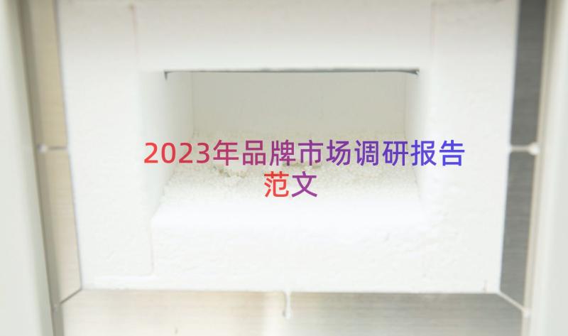 2023年品牌市场调研报告范文（19篇）